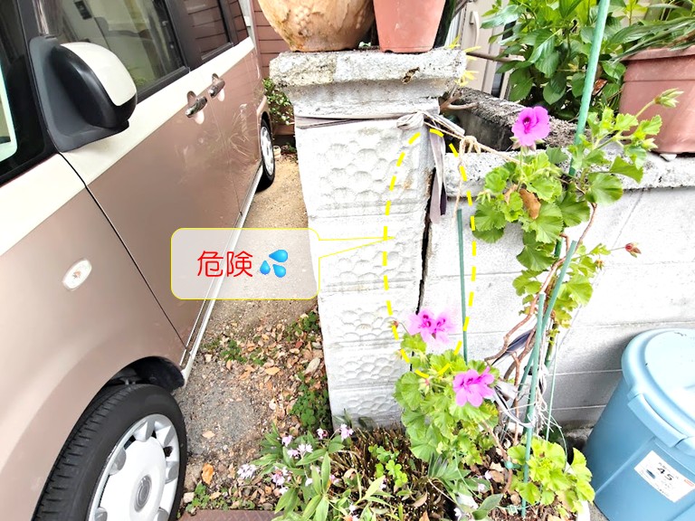 岸和田市｜大きな木の伐採・ブロック塀撤去・カーポート修繕の現場調査